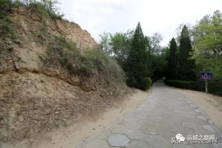 ���˳���ɢ�������˳�����,���ﾹȻ���и�ǧ��ų���ַ!�쿴������?(��ͼ)w14.jpg