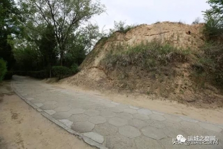 ���˳���ɢ�������˳�����,���ﾹȻ���и�ǧ��ų���ַ!�쿴������?(��ͼ)w15.jpg