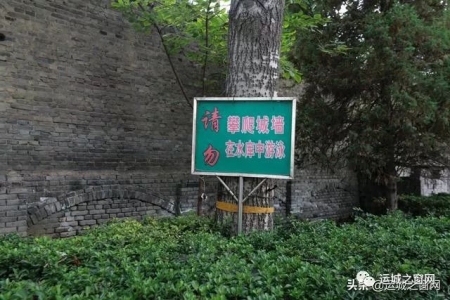 ���˳���ɢ�������˳�����,���ﾹȻ���и�ǧ��ų���ַ!�쿴������?(��ͼ)w10.jpg