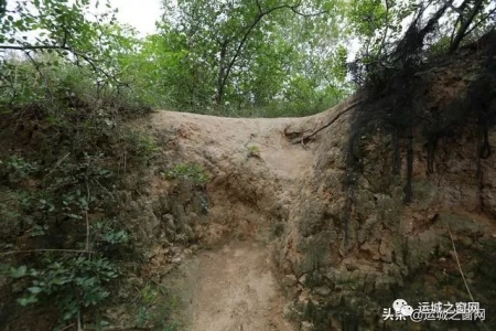���˳���ɢ�������˳�����,���ﾹȻ���и�ǧ��ų���ַ!�쿴������?(��ͼ)w12.jpg