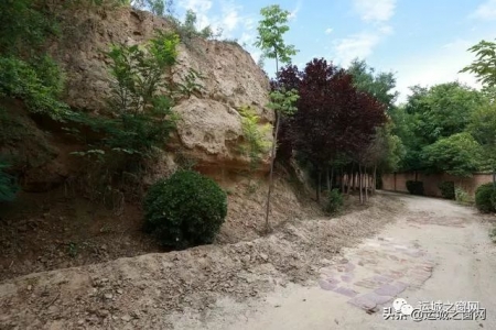���˳���ɢ�������˳�����,���ﾹȻ���и�ǧ��ų���ַ!�쿴������?(��ͼ)w25.jpg