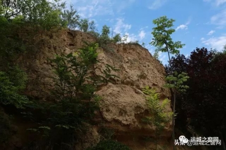 ���˳���ɢ�������˳�����,���ﾹȻ���и�ǧ��ų���ַ!�쿴������?(��ͼ)w26.jpg
