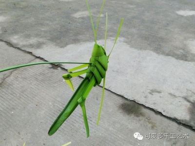 �ݱ����С��������w7.jpg