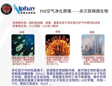 ��������Ƽ�PHI��������ԭ��.jpg
