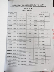 �²��ʼ챨��17.jpeg