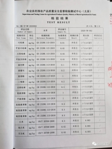 �²��ʼ챨��20.jpeg