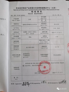 �²��ʼ챨��21.jpeg
