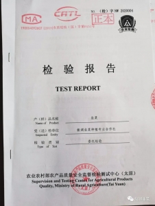 �²��ʼ챨��15.jpeg