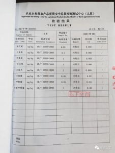 �²��ʼ챨��16.jpeg