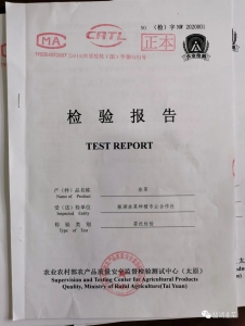 �²��ʼ챨��27.jpeg