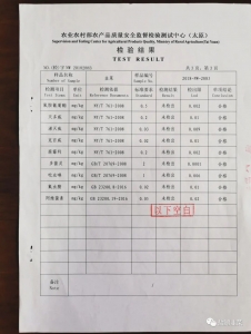 �²��ʼ챨��29.jpeg
