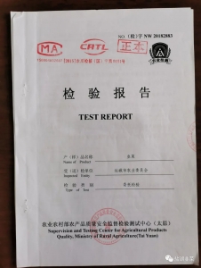 �²��ʼ챨��31.jpeg