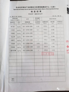�²��ʼ챨��24.jpeg